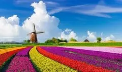 نمایشگاه گروهی هنرهای تجسمی و صنایع‌دستی ایران 
و هلند