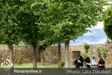 رونمایی از مجسمه ریشه‌ها و سنگ‌ها در موزه هنرهای معاصر