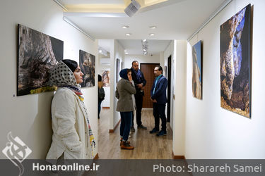 نمایشگاه عکس های مهدی پاسگر در گالری بهارک