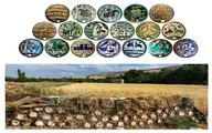 افتتاح یک گالری جدید در کاشان با نمایش آثار عباس اکبری | نگاهی به کاشی‌های درپوش کندوی عسل