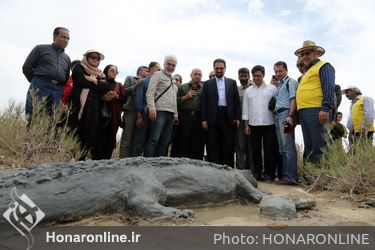 دومین جشنواره ملی مجسمه‌های نمکی نهبندان/ 2
