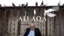 Wind from Iran” comes to New York theater