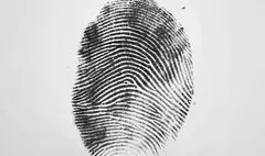 بازآفرینی «والس هرمان» با رنگ‌وبویی مدرن از کولی بند