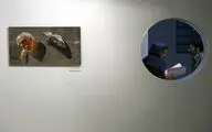 نمایشگاه 