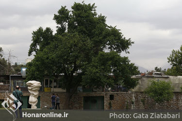 رونمایی از مجسمه ریشه‌ها و سنگ‌ها در موزه هنرهای معاصر