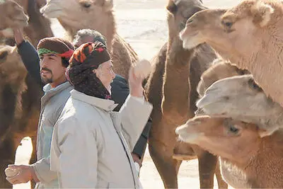 “Once Hamoun” receives honorable mention at Portugal Cine’Eco 