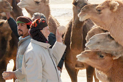 “Once Hamoun” receives honorable mention at Portugal Cine’Eco 