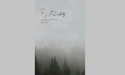 مجموعه شعر «وقت کبود» منتشر شد