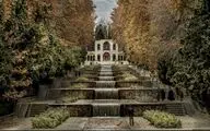 Cypress trees planted in UNESCO-tagged garden 