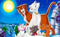 نسخه ویژه نابینایان «گربه‌های اشرافی» منتشر می‌شود
