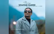 اثر جدید شهاب حبیبی منتشر شد