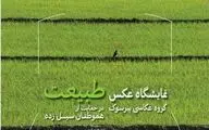 در حمایت از سیل‌زدگان نگارخانه سروناز میزبان نمایشگاه عکس طبیعت شد