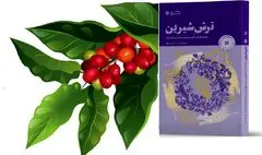 «ترش شیرین»؛ روایت یک اقدام شجاعانه در جهت حل مشکل مردم