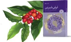 «ترش شیرین»؛ روایت یک اقدام شجاعانه در جهت حل مشکل مردم