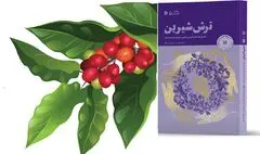 «ترش شیرین»؛ روایت یک اقدام شجاعانه در جهت حل مشکل مردم