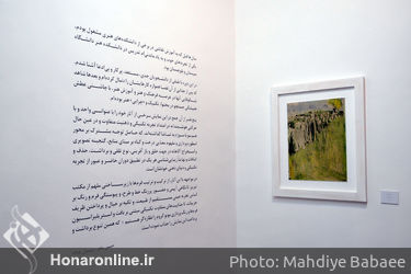 نمایشگاه گروهی "باغ بی‌برگی" در گالری آریا