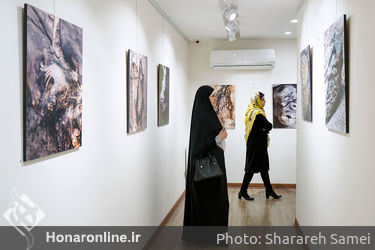 نمایشگاه عکس های مهدی پاسگر در گالری بهارک