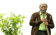 «هفت بهارنارنج» از ۱۵ اسفند روی پرده می‌رود