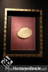 نمایشگاه نقاشی ساغر مسعودی در گالری فرشته