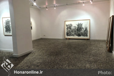 نمایشگاه آثار کسری گلرنگ در گالری هما
