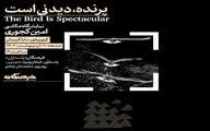نمایشگاه «پرنده، دیدنی است» در فرهنگان برپا می شود