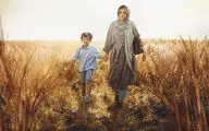 بحران جذب مخاطب در سینمای ایران | استقبال نسبی تماشاگران از «علفزار»