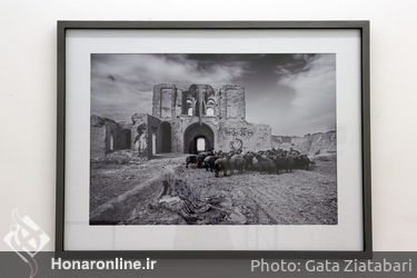 نمایشگاه عکس آرمین امیریان در گالری اعتماد باغ نگارستان