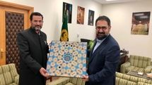 Seyyed Mojtaba Hosseini: Iran has valuable artistic capacities 