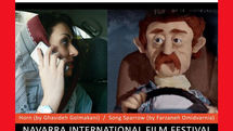 Spain's Navarra Intl. Film Festival hosts two Iranian titles