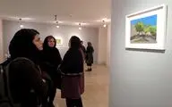 نمایشگاه گروهی نقاشی در گالری لاله
