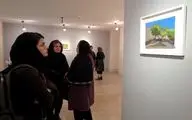 نمایشگاه گروهی نقاشی در گالری لاله