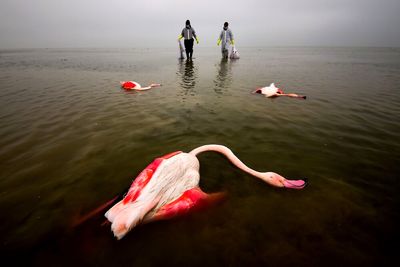 Mehdi Mohebbipur named Environmental Photographer of the Year 2022