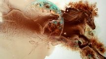 Coffee paintings by Adak Jamshidzadeh to raise funds for Iran flood survivors