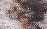 Nepalese Gallery Hosts Exhibition of Iranian Artists 