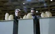 بخش جنبی جشنواره بین المللی هنرهای تجسمی فجر  در فرهنگسرای نیاوران