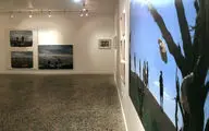 نمایشگاه طراحی و نقاشی شنتیا ذاکری‌عاملی در گالری هما