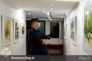 نمایشگاه نقاشی‌های نرگس عباسی در نگارخانه بهارک