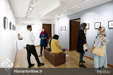 نمایشگاه عکس های میثم غیاثوند در گالری بهارک