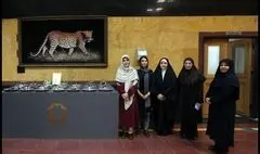 یکی از آثار برگزیده دوسالانه سرامیک در سازمان حفاظت محیط زیست جانمایی شد