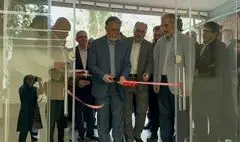 صالحی: هنرستان‌های هنرهای زیبا بزرگان زیادی را به کشور معرفی کرده است