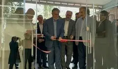 صالحی: هنرستان‌های هنرهای زیبا بزرگان زیادی را به کشور معرفی کرده است