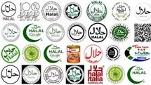 ایران میتواند پایتخت پوشاک حلال در جهان شود؟