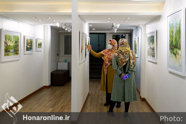 نمایشگاه نقاشی‌های نرگس عباسی در نگارخانه بهارک