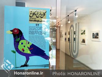 نمایشگاه گروهی تصویرسازی "گل و مرغ و کلاغ" در گالری لاله
