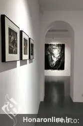 نمایشگاه آثار لیلی رشیدی در گالری اعتماد