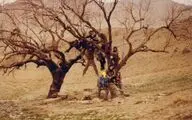 مستند پگاه آهنگرانی در چهار جشنواره خارجی