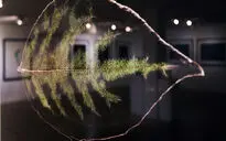 نمایشگاه عکس آرمان مولوی در گالری سیحون 2