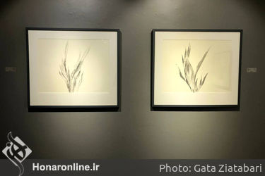 نمایشگاه انفرادی طراحی، نقاشی حمیدرضا اندرز در گالری شیرین