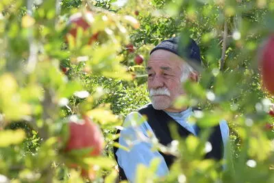 اکران "برگ جان" ابراهیم مختاری در سینماهای هنر و تجربه