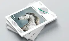 «میرا»؛ مجله‌ای برای تئاتر